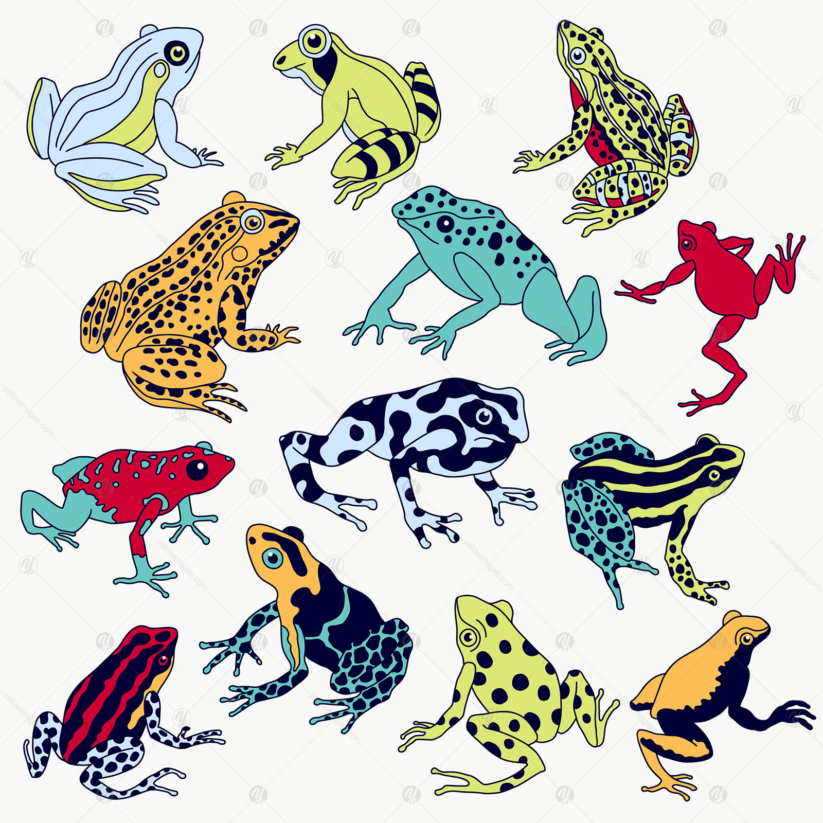 Frog Set Frog Set
