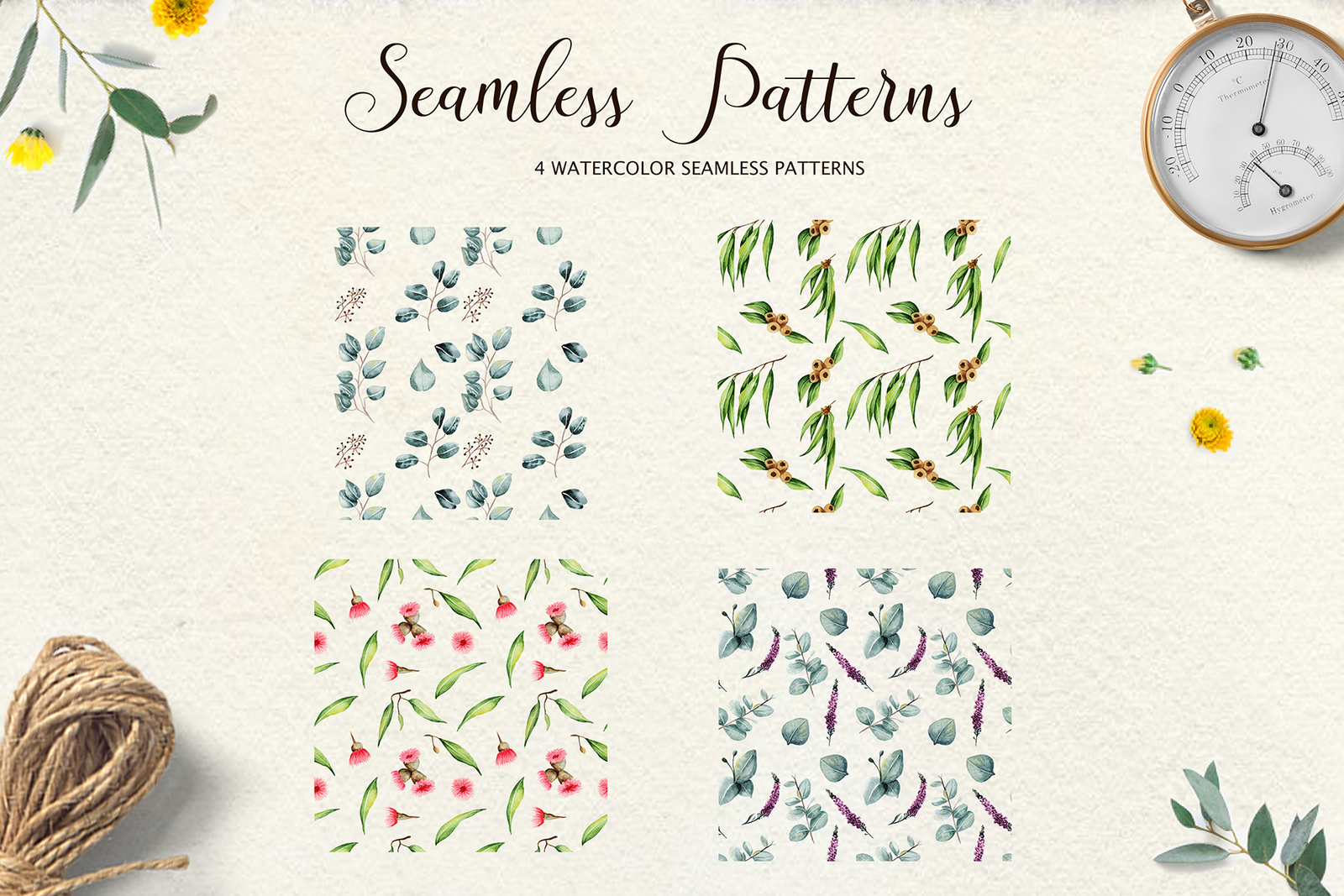 Eucalyptus Collection+Letter Eucalyptus Collection+Letter