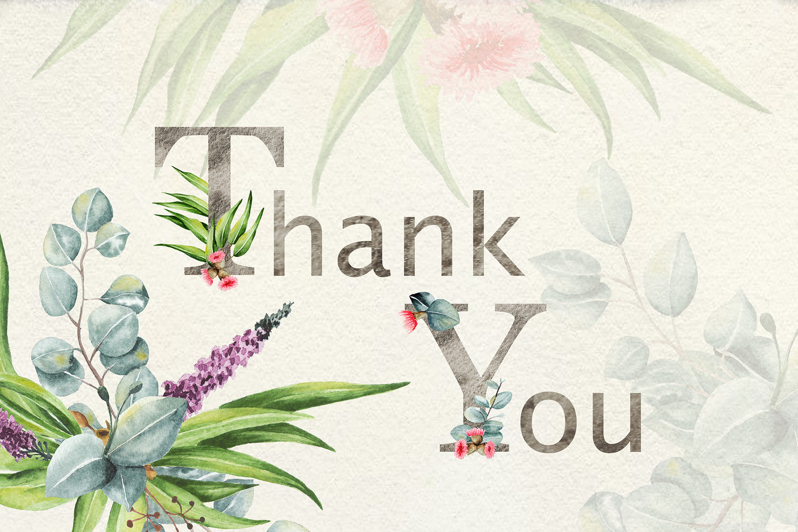 Eucalyptus Collection+Letter Eucalyptus Collection+Letter
