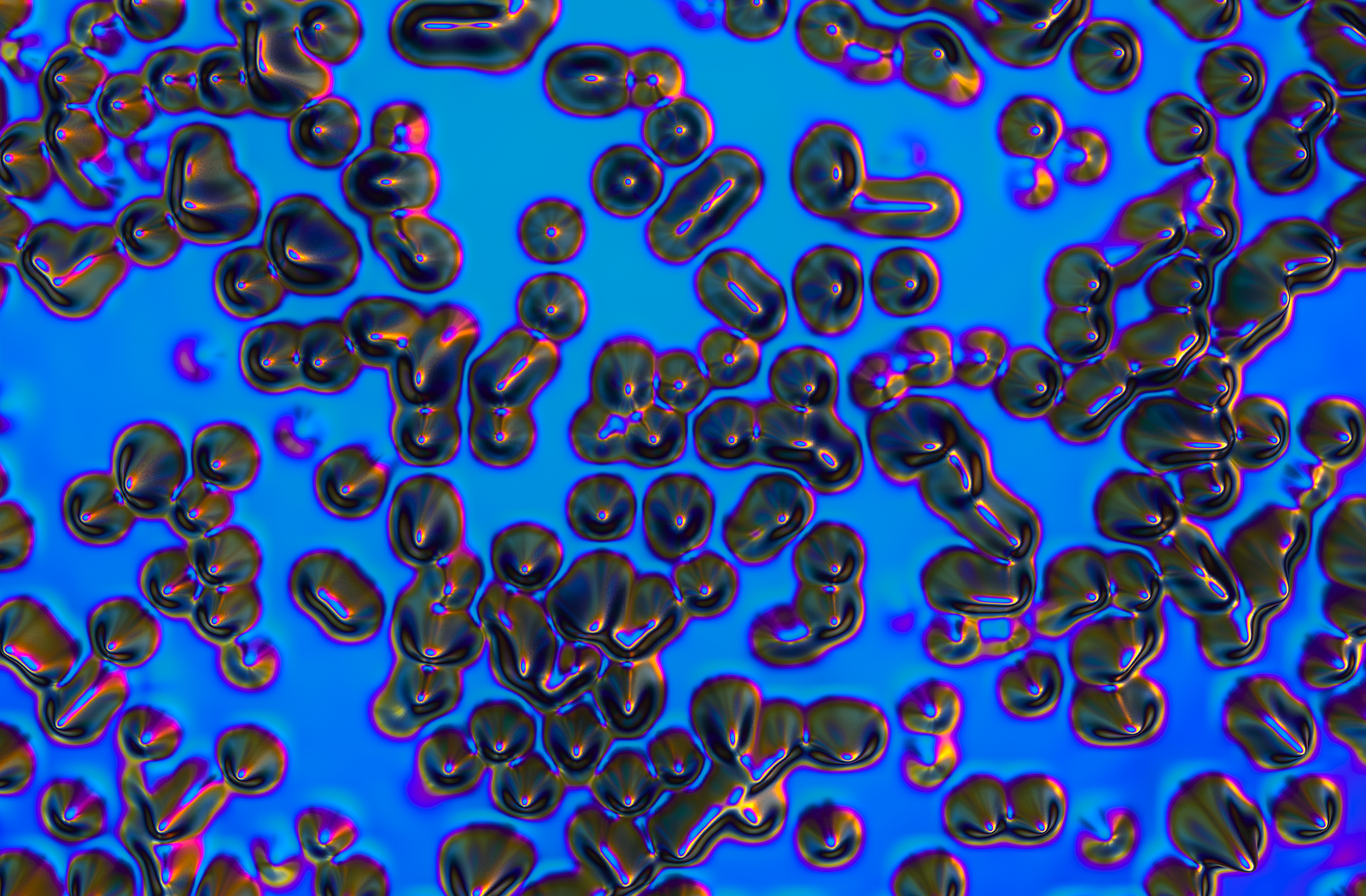 Holographic Decay Holographic Decay