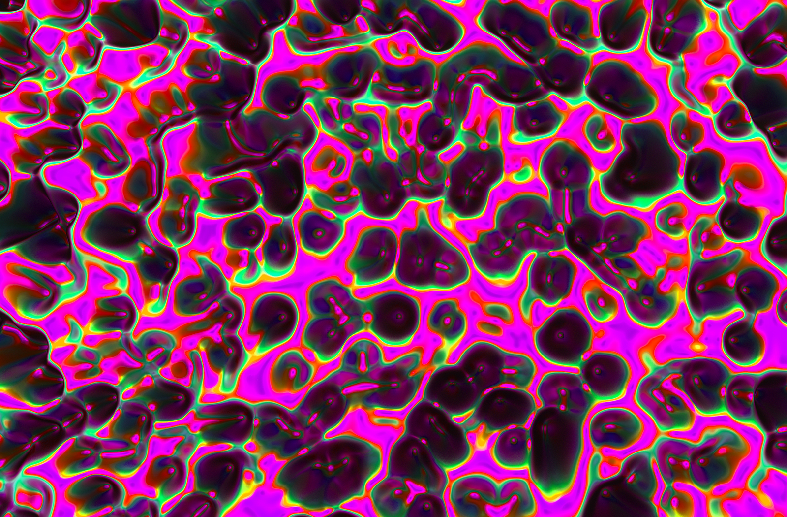 Holographic Decay Holographic Decay