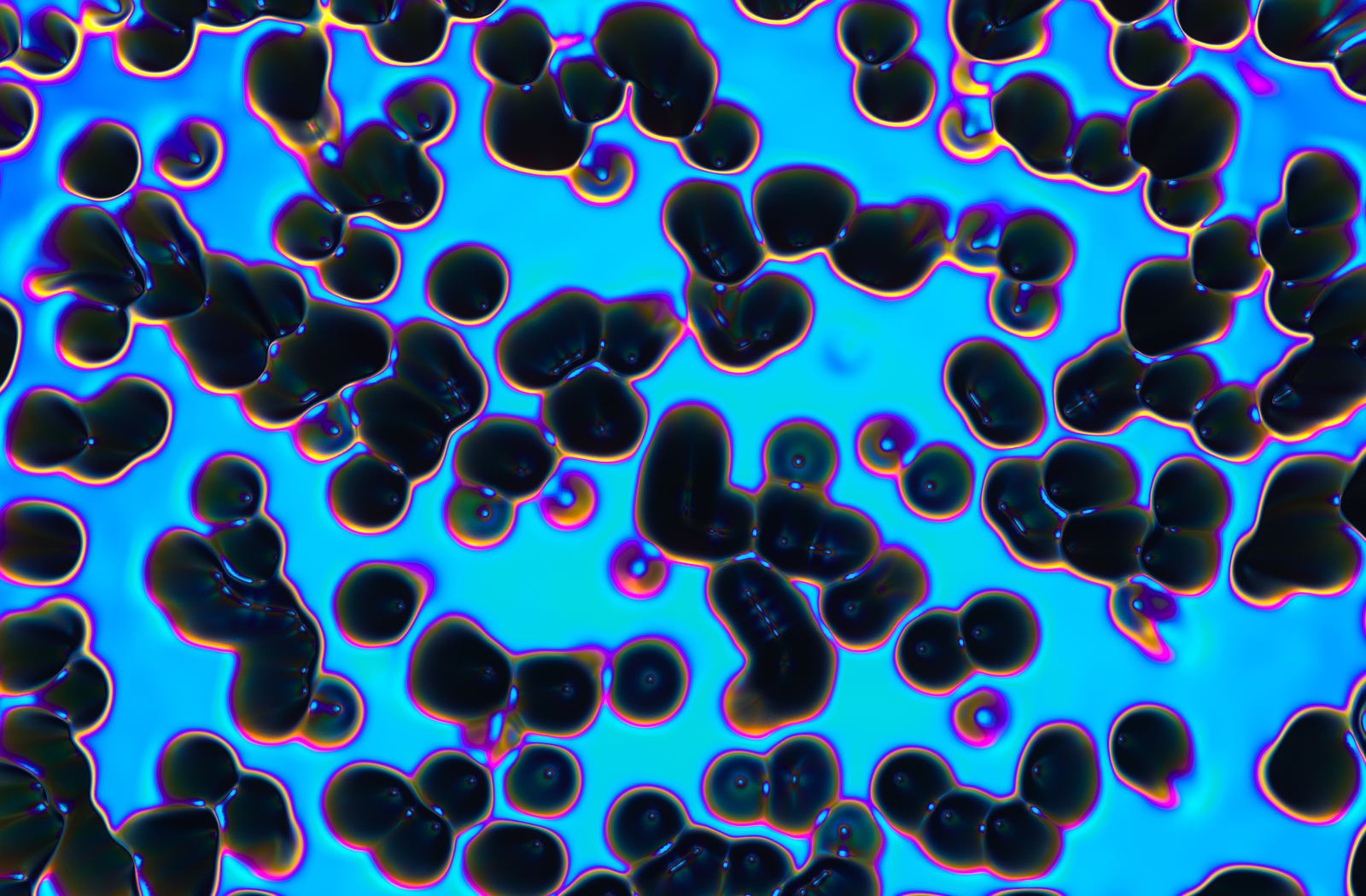 Holographic Decay Holographic Decay