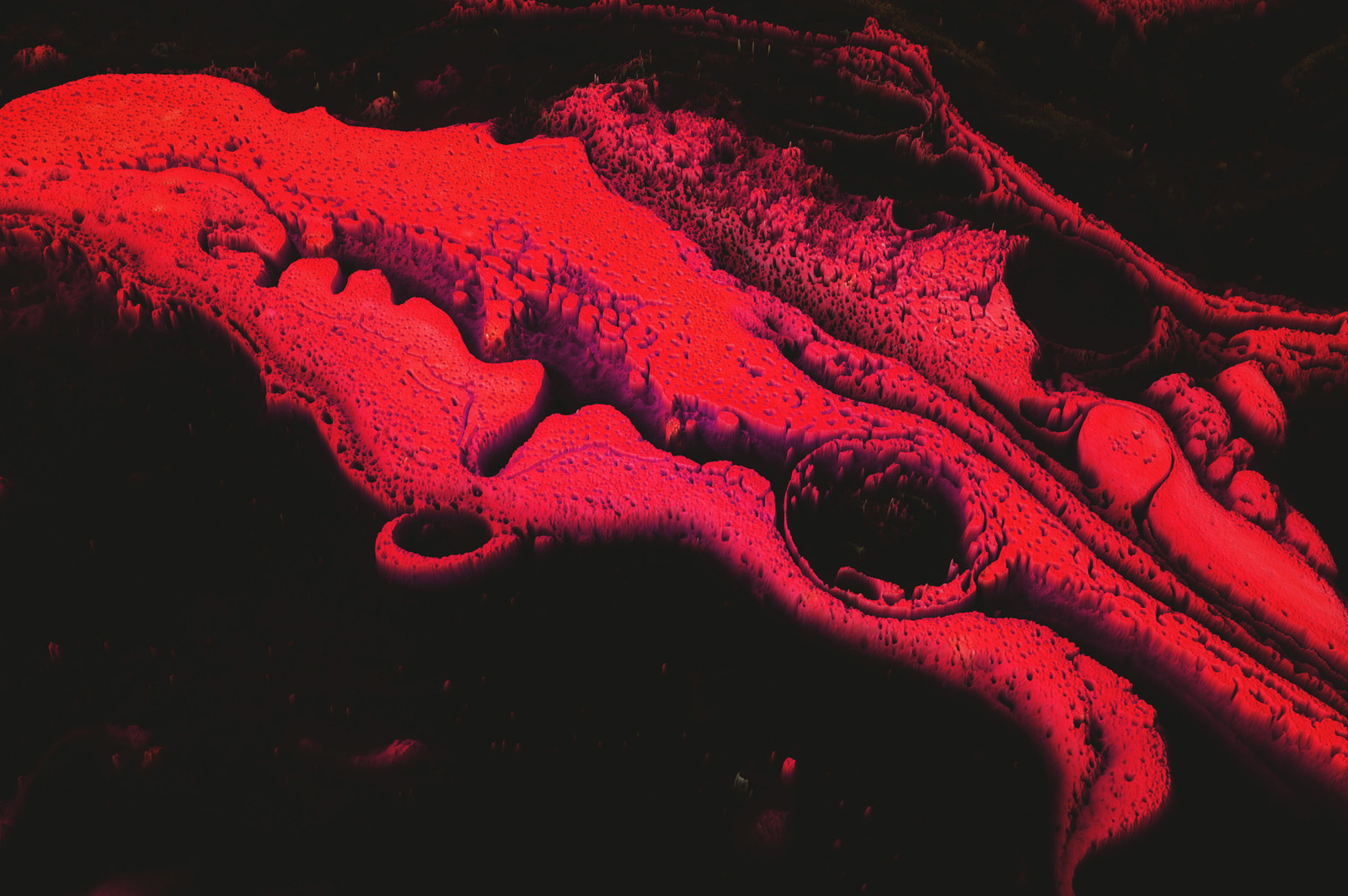 Surreal Volume 2 Surreal Volume 2