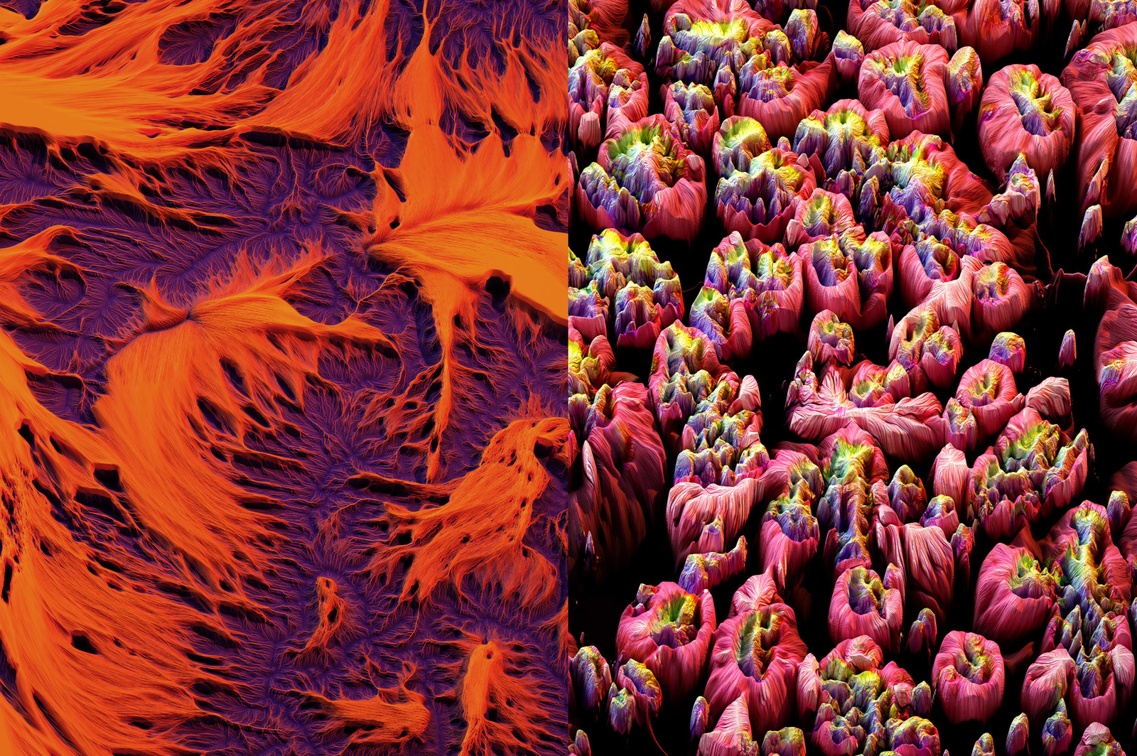 Surreal Volume 2 Surreal Volume 2