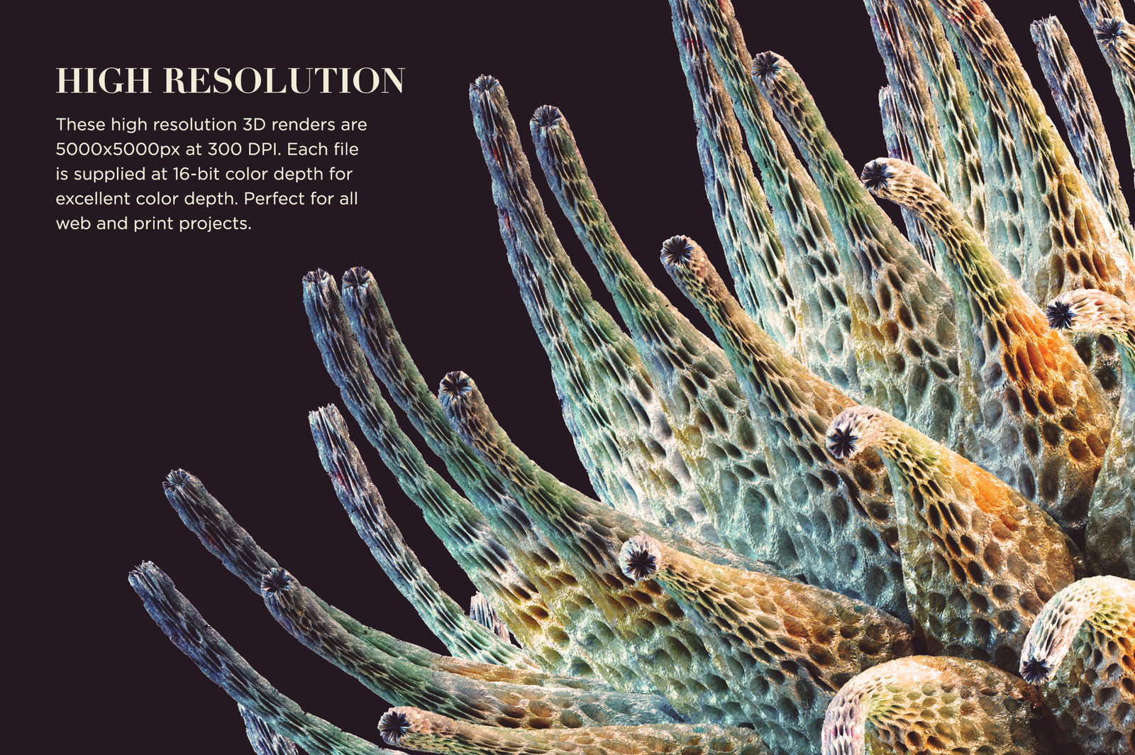 Organic Abstraction Vol2 Organic Abstraction Vol2
