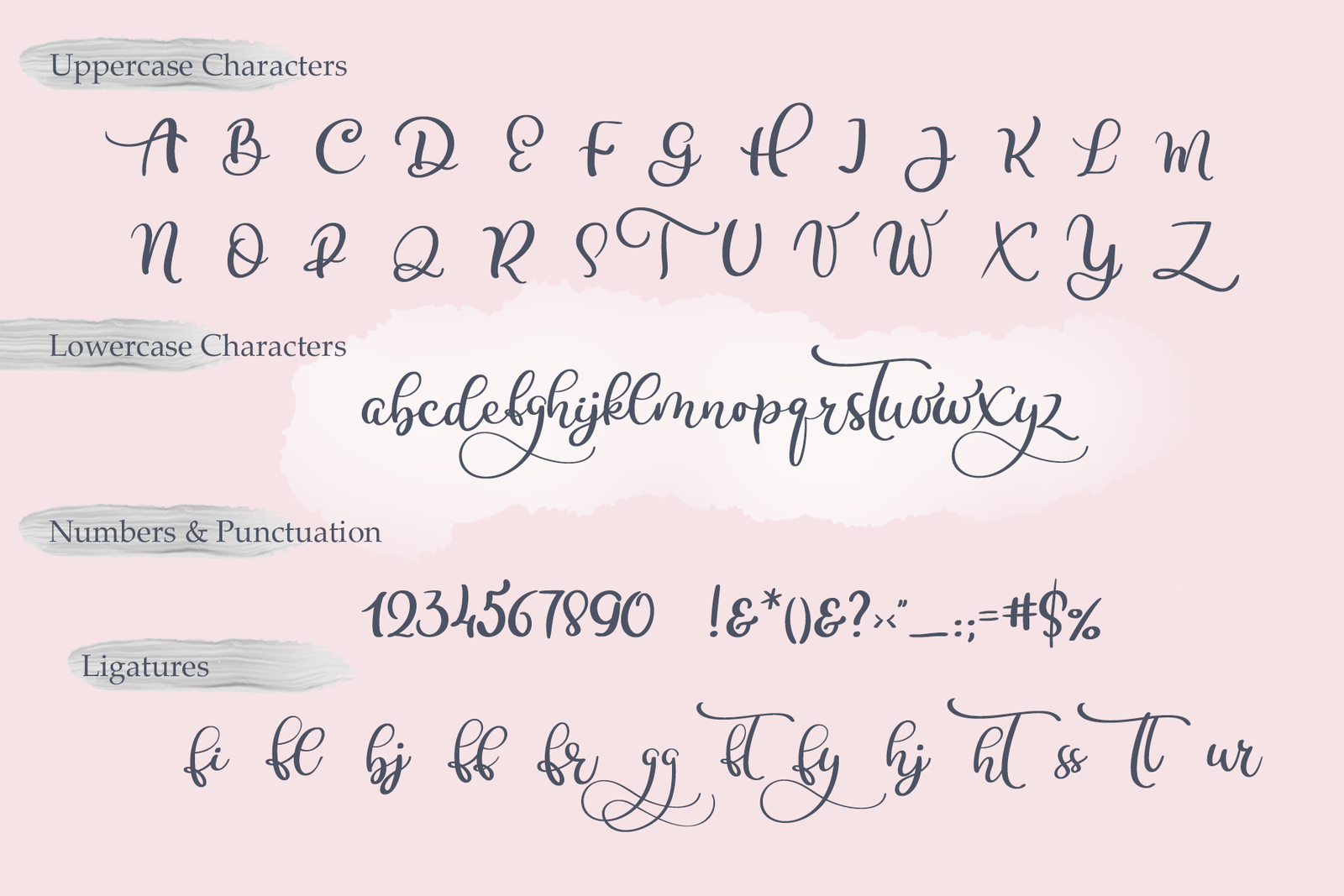 Calligraphy Wedding Decor Font Delight