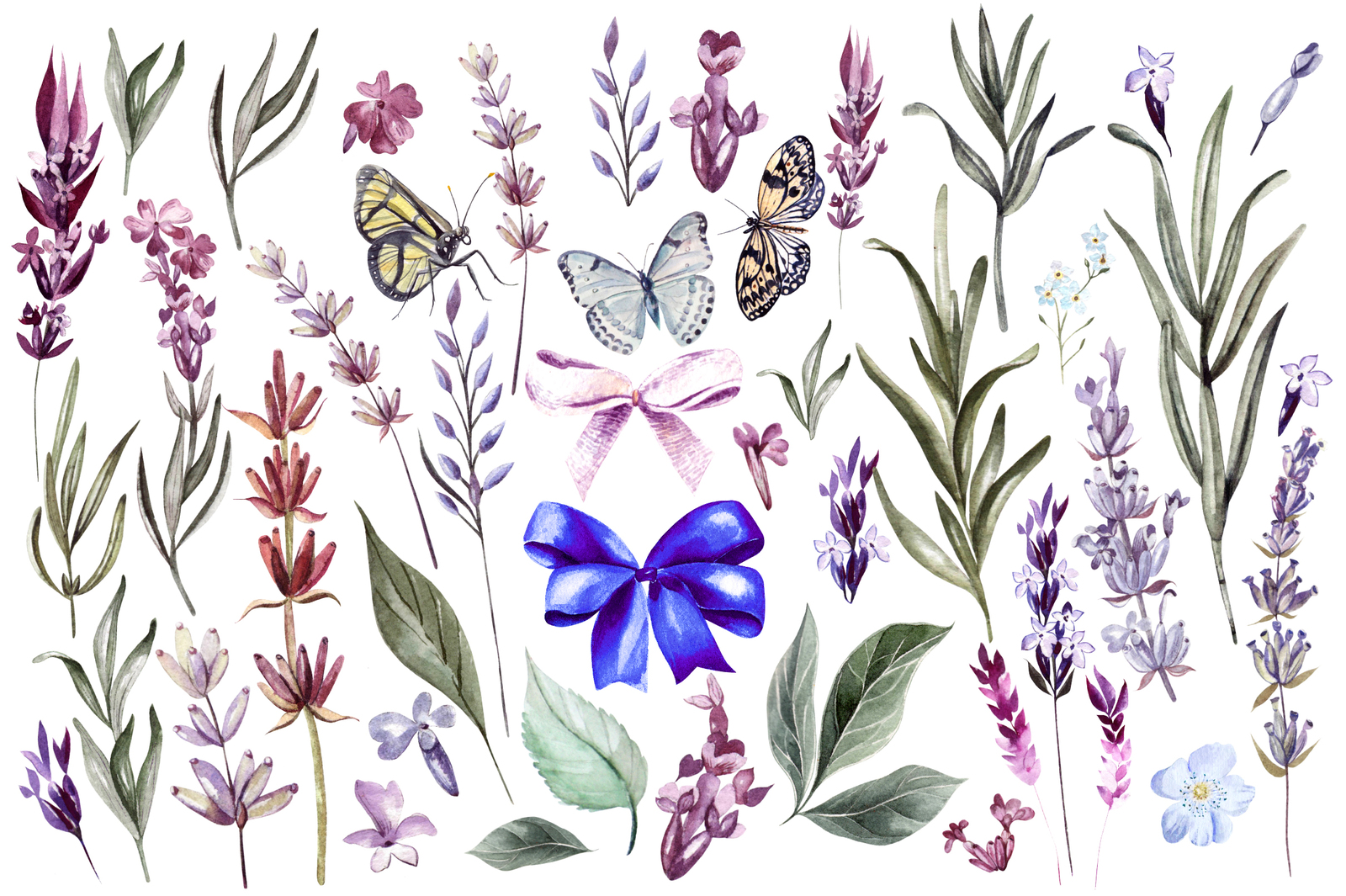 Hand Drawn Watercolor Lavender 2 Hand Drawn Watercolor Lavender 2