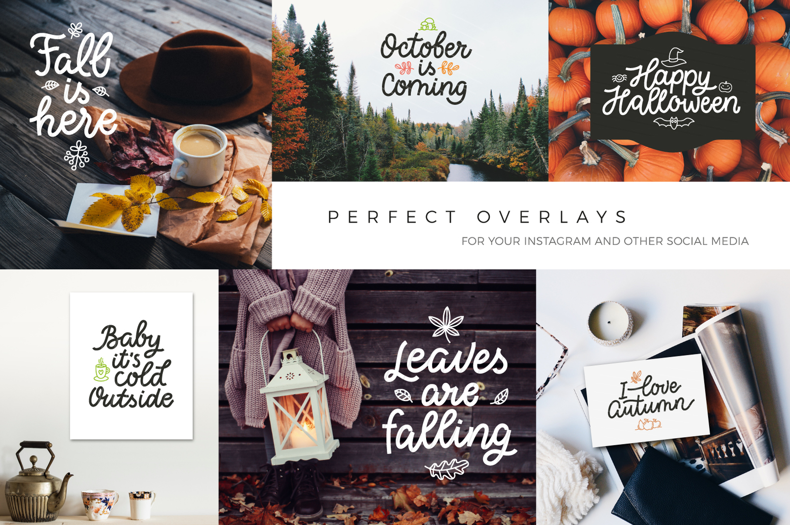 Autumn Collection, vector letterings