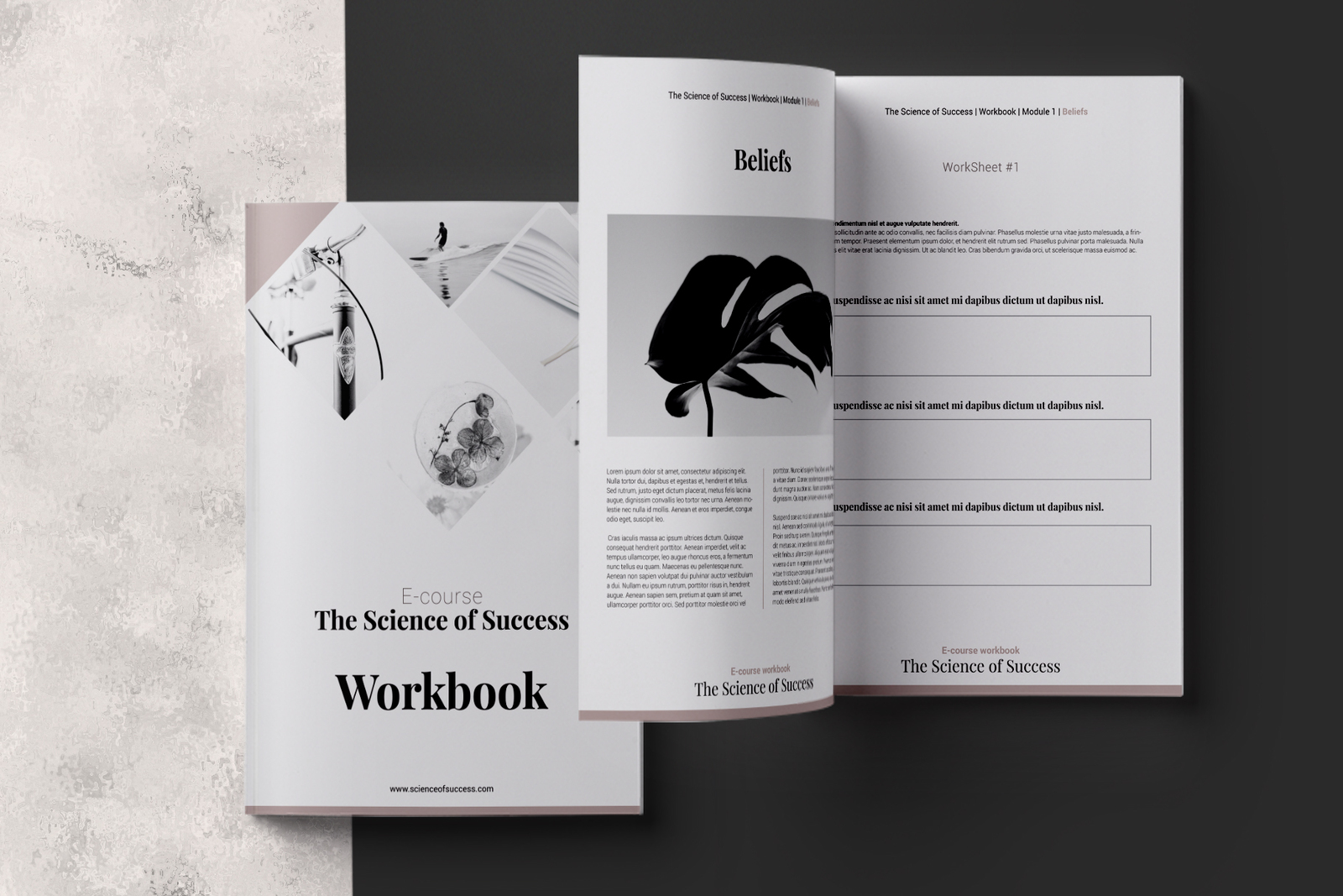 E-course Workbook InDesign Template E-course Workbook InDesign Template
