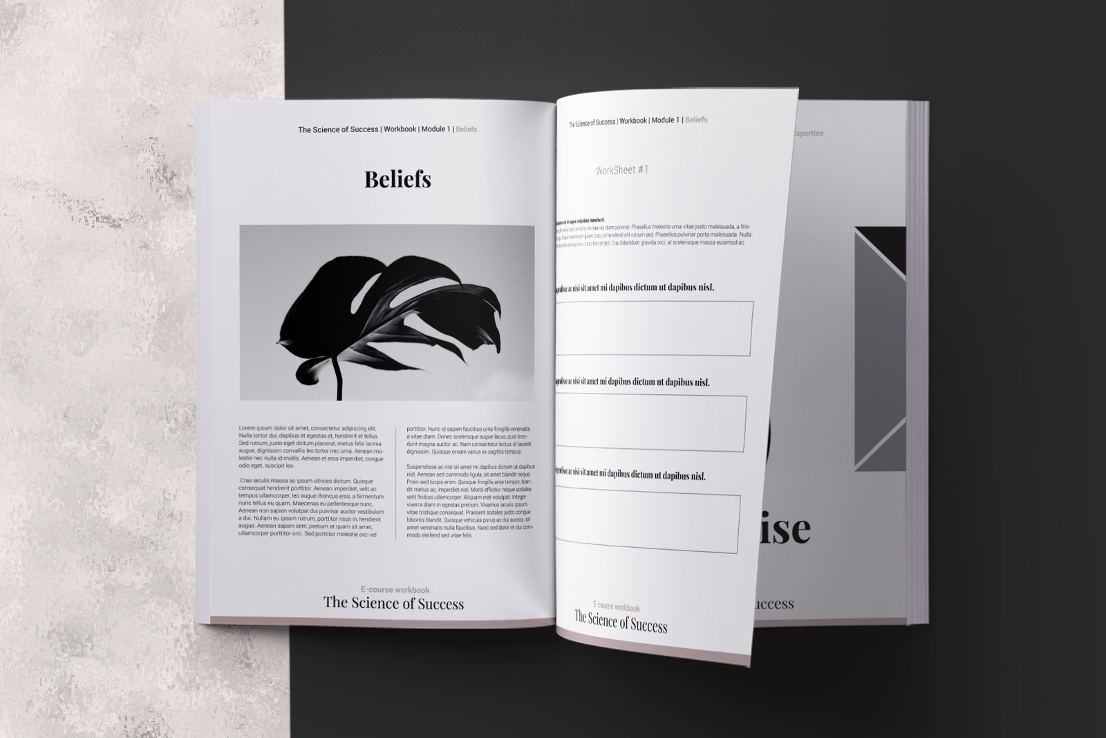 E-course Workbook InDesign Template E-course Workbook InDesign Template