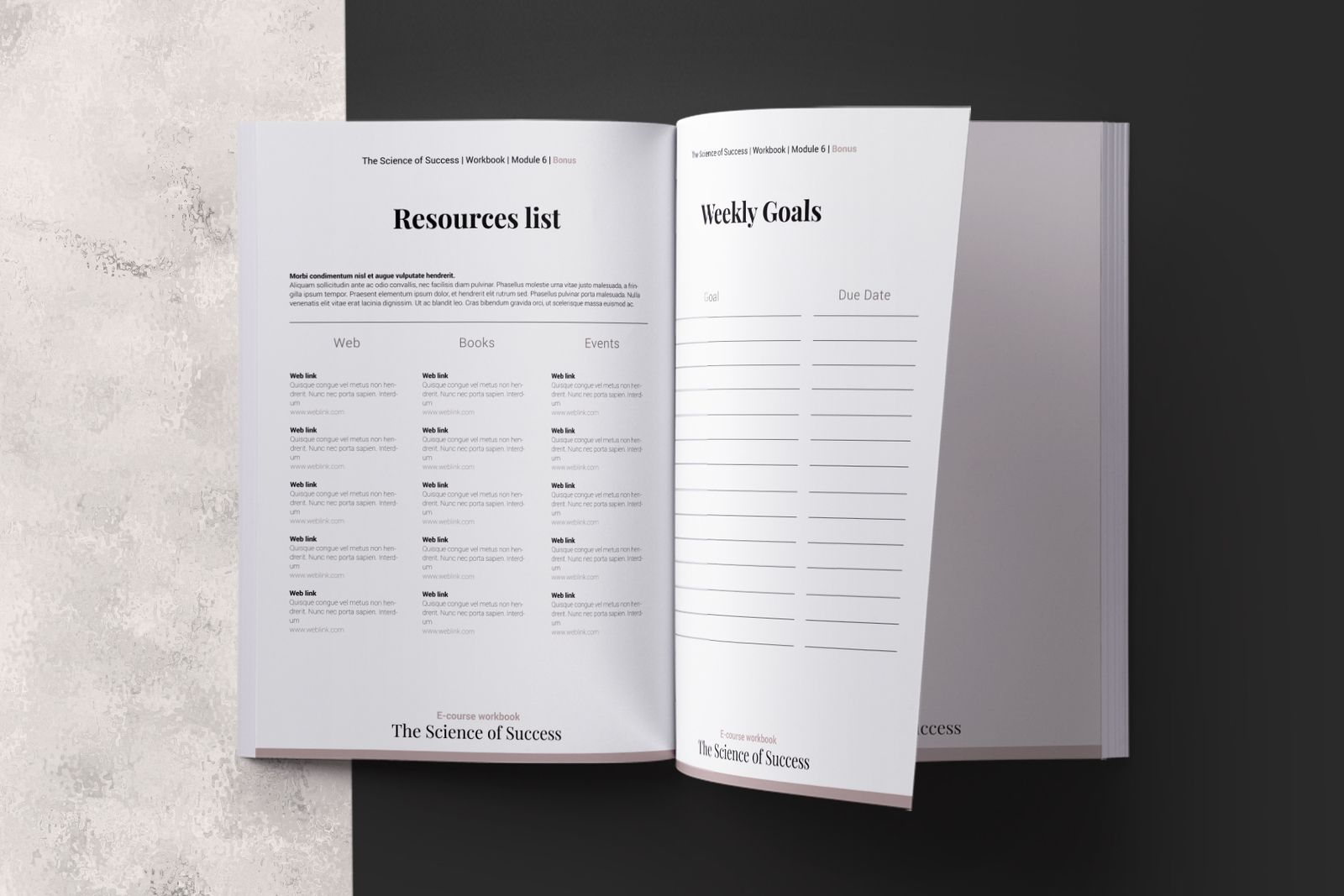 E-course Workbook InDesign Template E-course Workbook InDesign Template