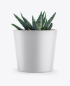 Ceramic Plant Pot Mockup