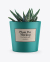 Ceramic Plant Pot Mockup