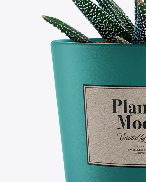 Ceramic Plant Pot Mockup