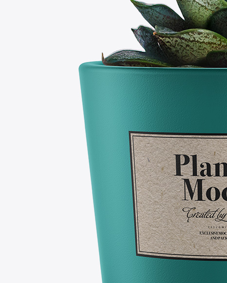 Ceramic Plant Pot Mockup