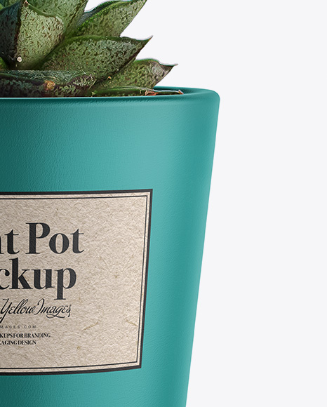 Ceramic Plant Pot Mockup