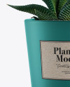 Ceramic Plant Pot Mockup