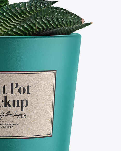 Ceramic Plant Pot Mockup