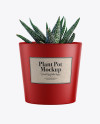 Matte Plant Pot Mockup