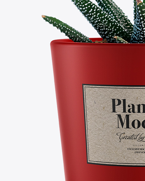 Matte Plant Pot Mockup