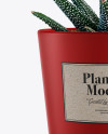 Matte Plant Pot Mockup