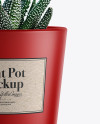 Matte Plant Pot Mockup