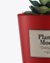 Matte Plant Pot Mockup