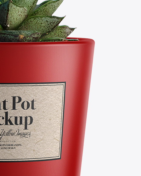 Matte Plant Pot Mockup