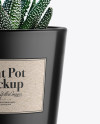 Glossy Plant Pot Mockup