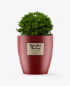 Matte Plant Pot Mockup