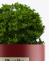 Matte Plant Pot Mockup