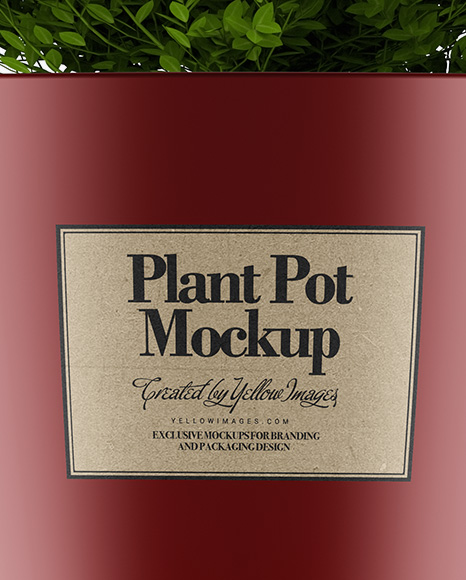 Matte Plant Pot Mockup