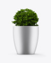 Metallic Plant Pot Mockup