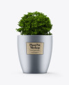 Metallic Plant Pot Mockup