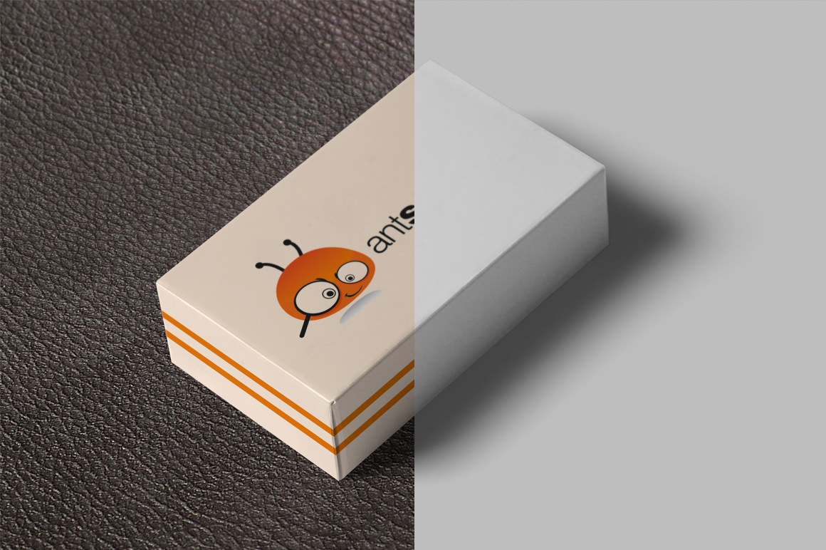 Box / Packaging Mockups