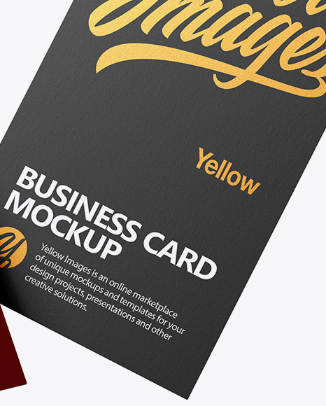 Two Paper Business Cards Mockup