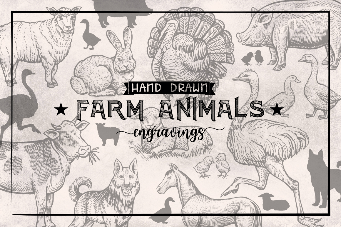 Farm Animals Collection Farm Animals Collection
