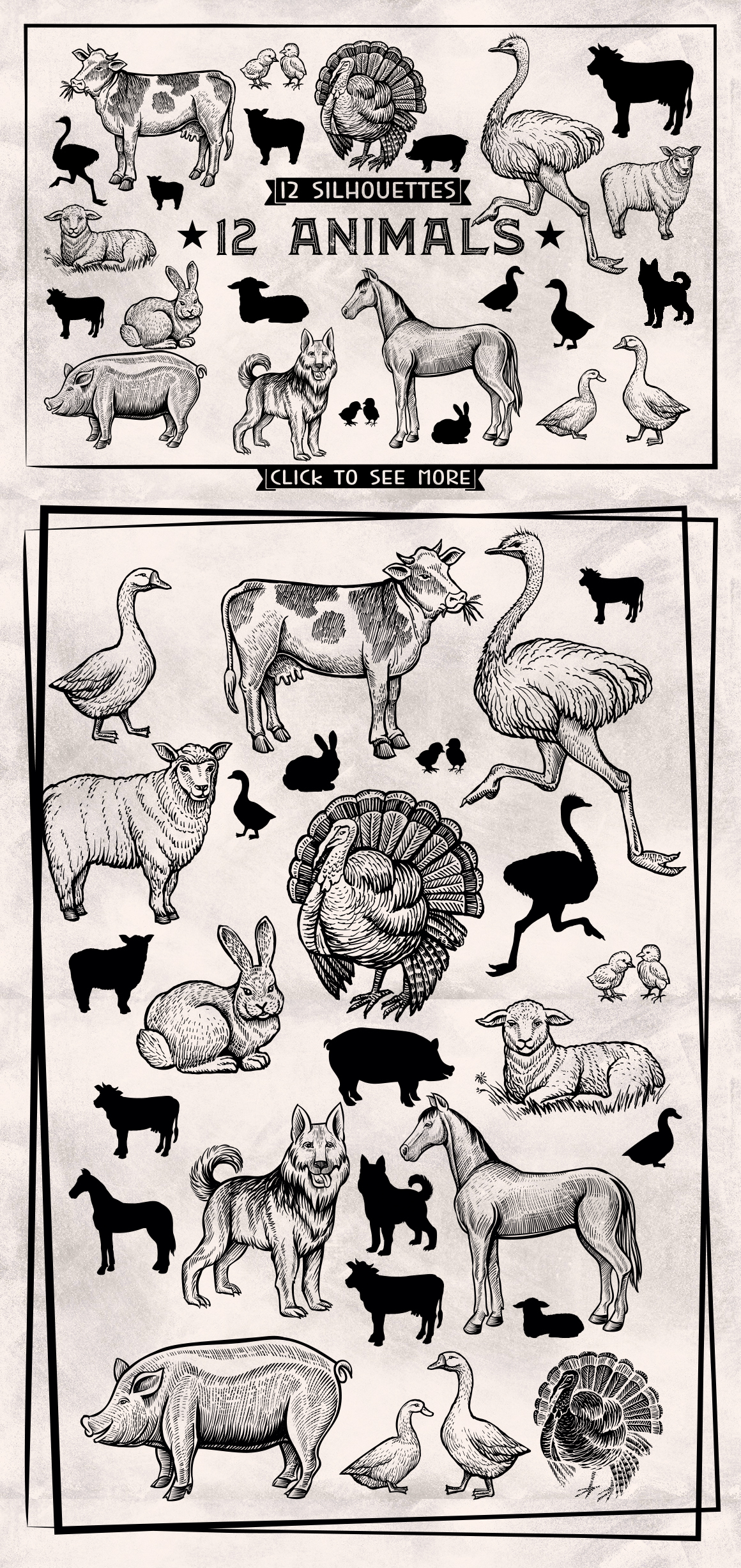 Farm Animals Collection Farm Animals Collection
