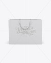 Paper Shopping Bag With Ribbon Handles Mockup - Front View