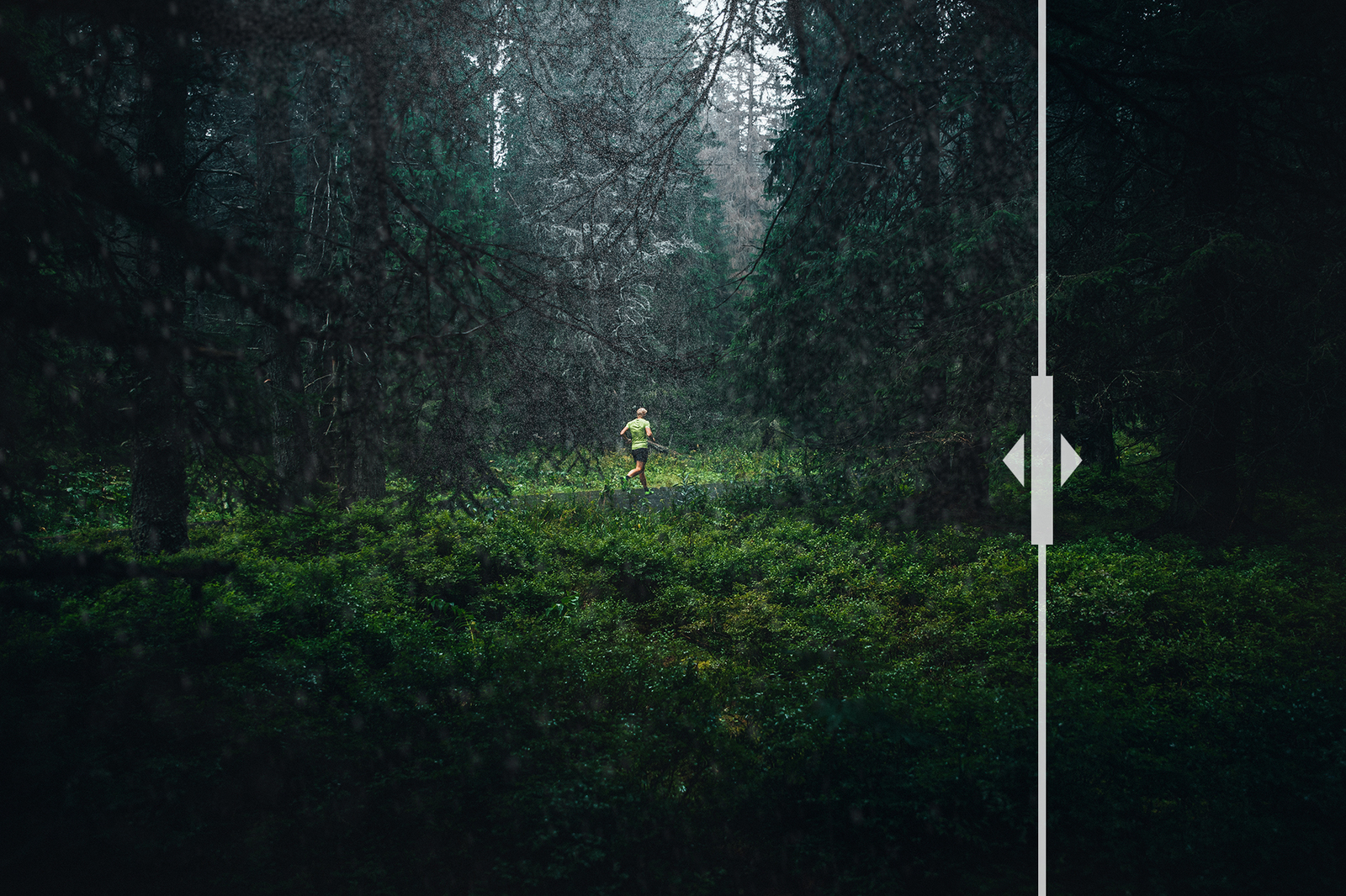 45 Rain Photo Overlays 45 Rain Photo Overlays