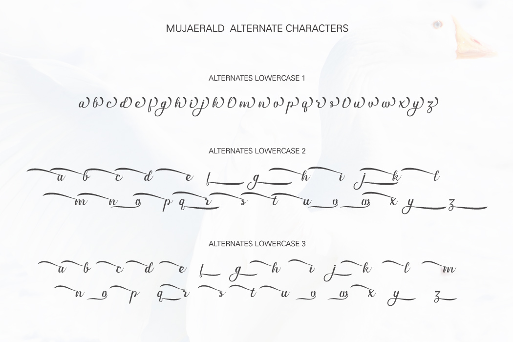 Mujaerald Font