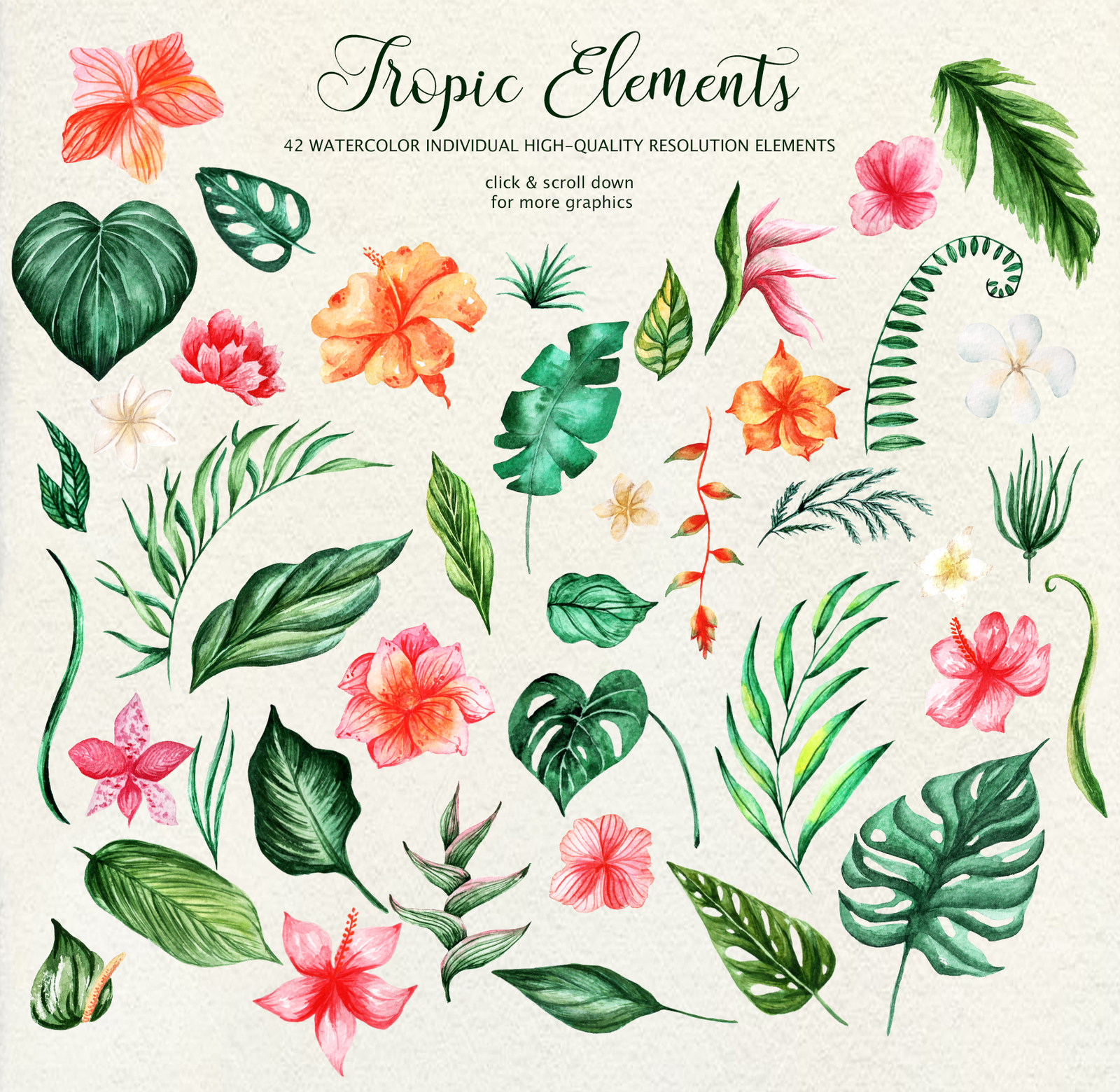 Tropical Dream-watercolor set