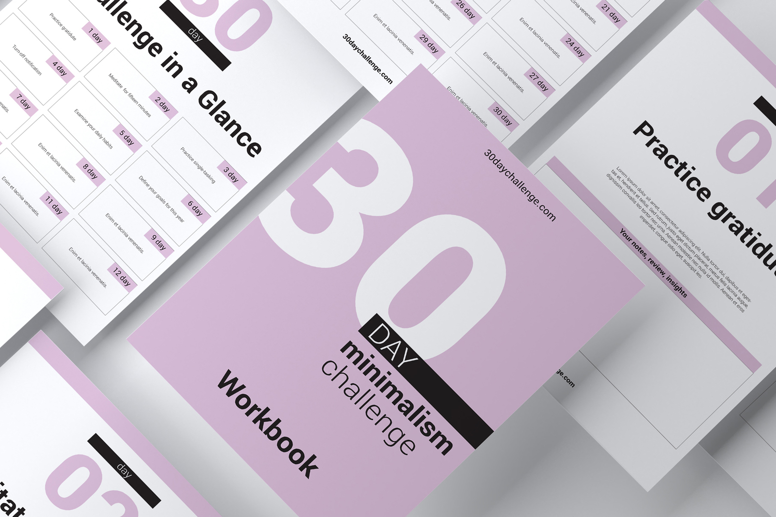 30 day Challenge Workbook Template 30 day Challenge Workbook Template