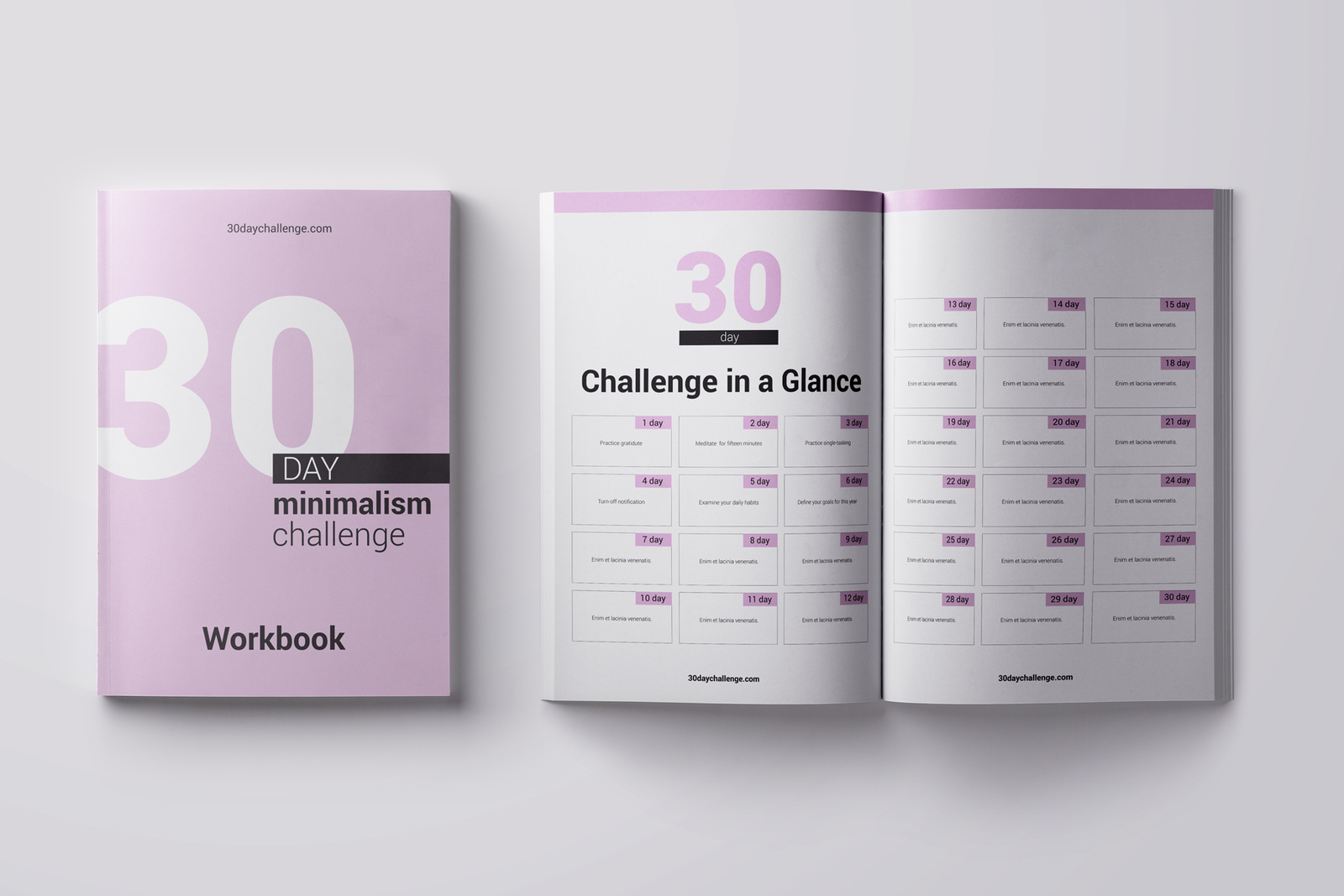 30 day Challenge Workbook Template 30 day Challenge Workbook Template