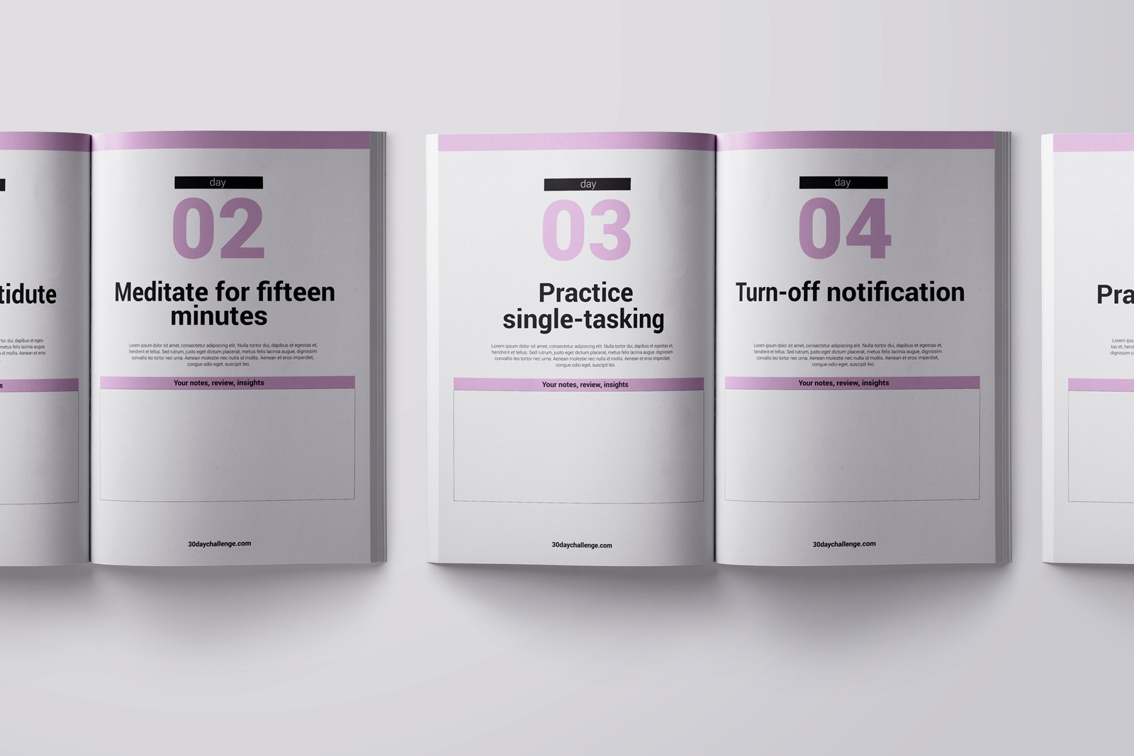 30 day Challenge Workbook Template 30 day Challenge Workbook Template