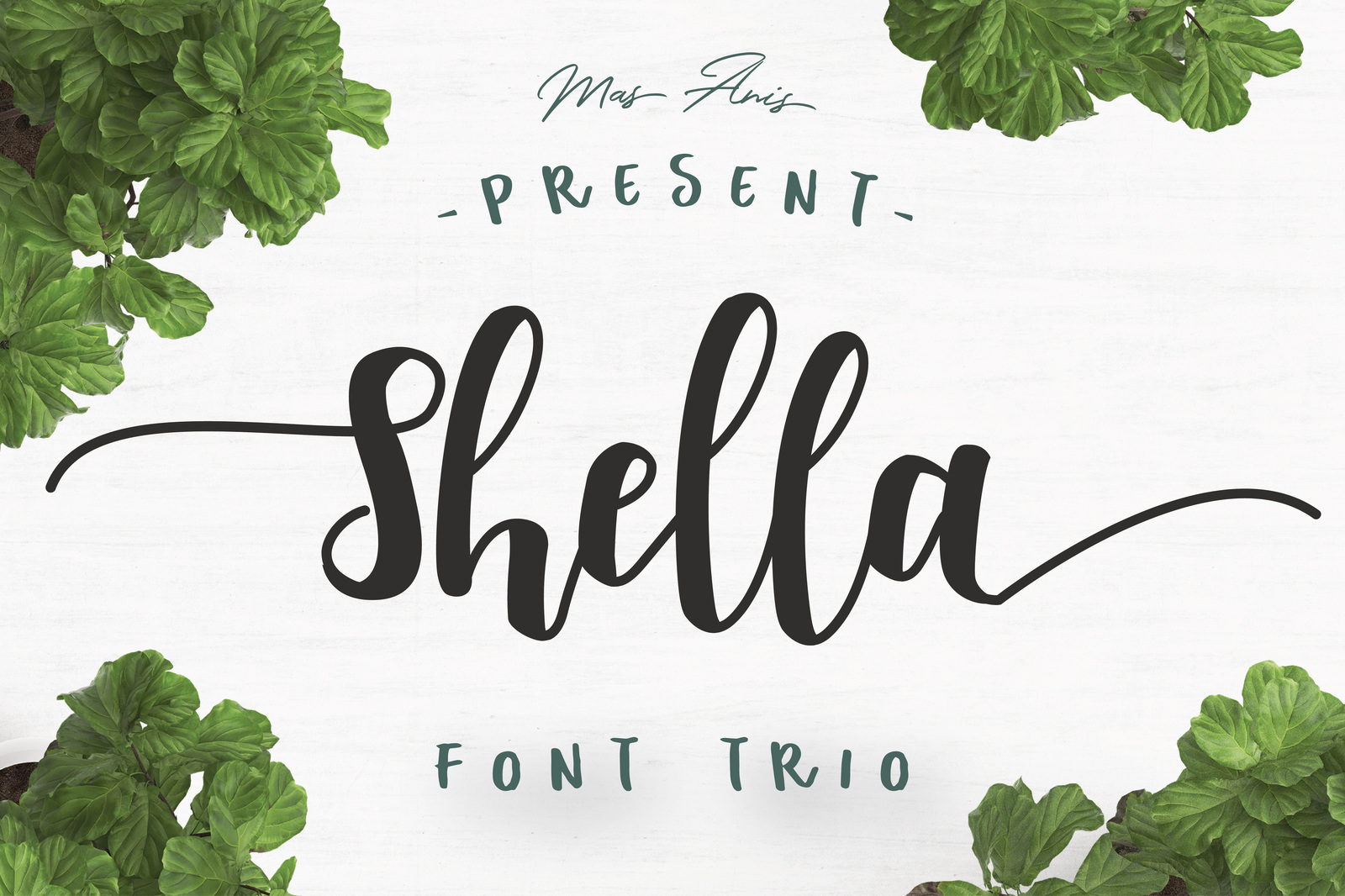 Shella Font Trio Shella Font Trio
