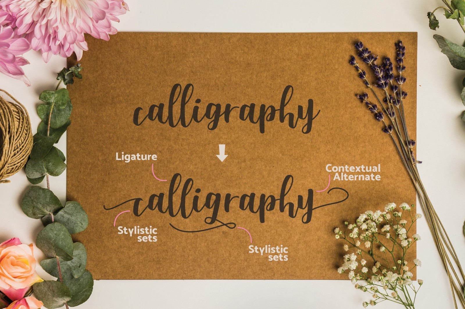 Shella Font Trio Shella Font Trio