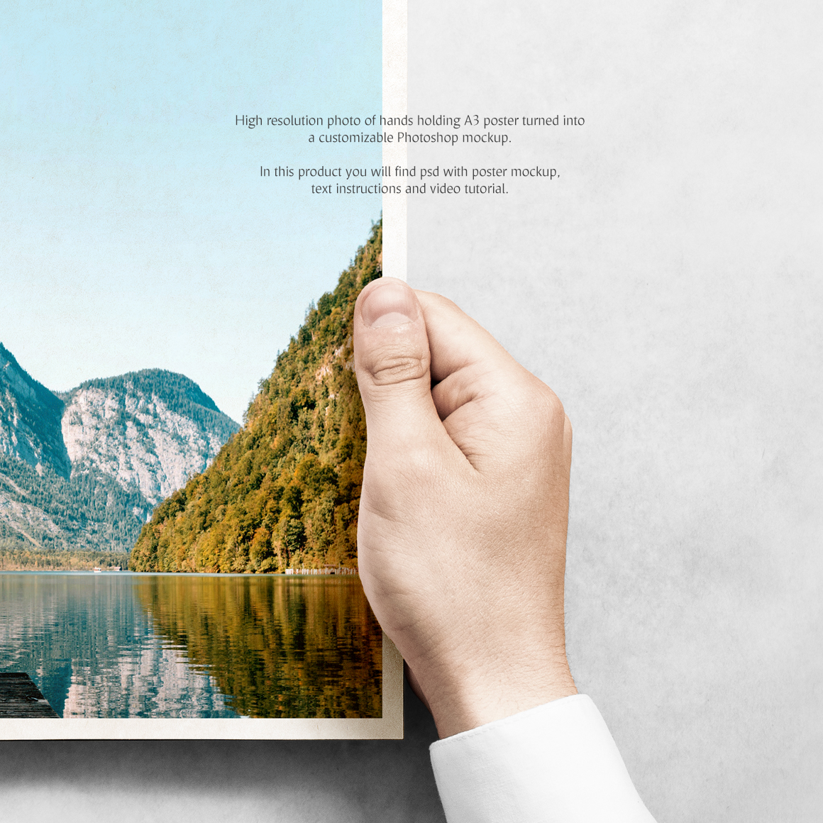 Poster Mockup Poster Mockup