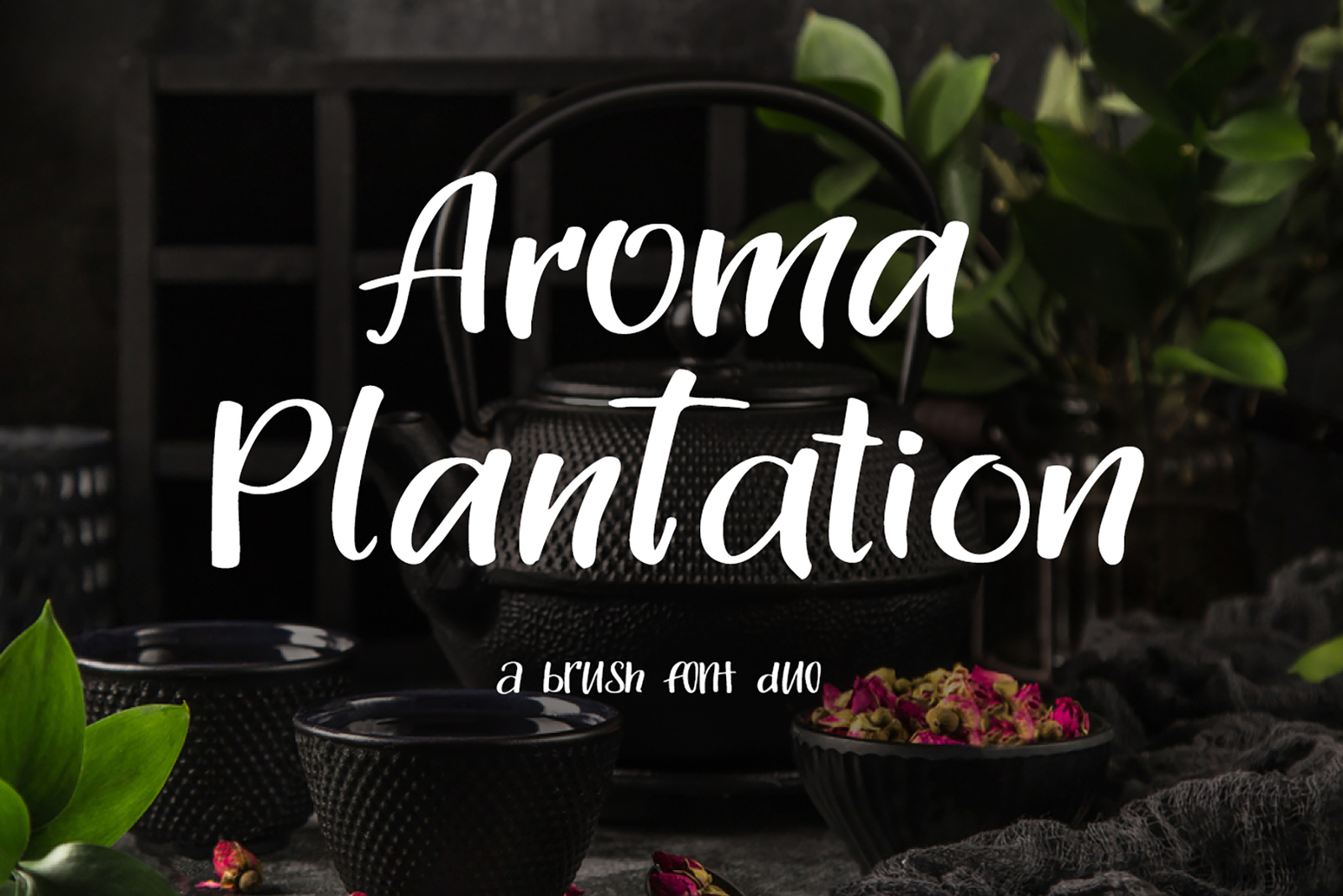 Aroma Plantation-font duo Aroma Plantation-font duo