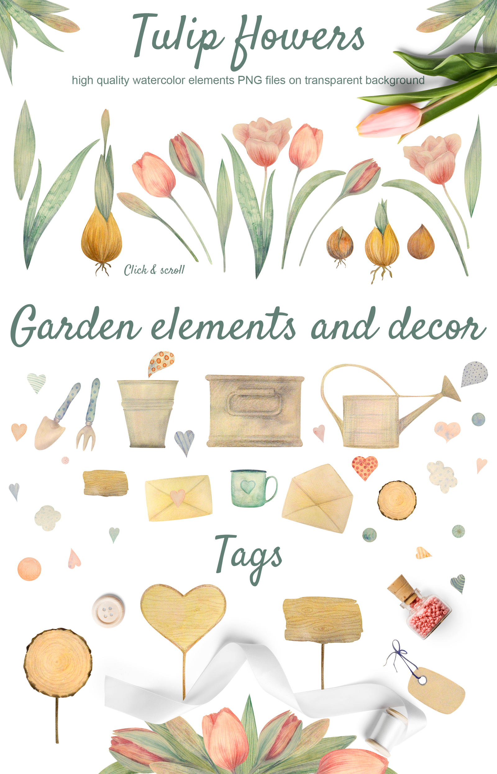 HELLO SPRING. Watercolor tulip set HELLO SPRING. Watercolor tulip set